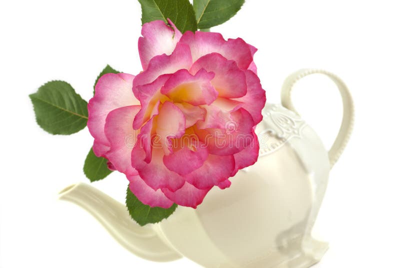 Rose In A Teapot