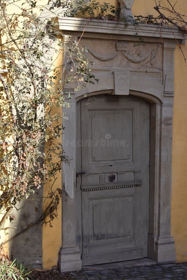 Rose Trellises in the Bright Sunlight Stock Photo Image of door