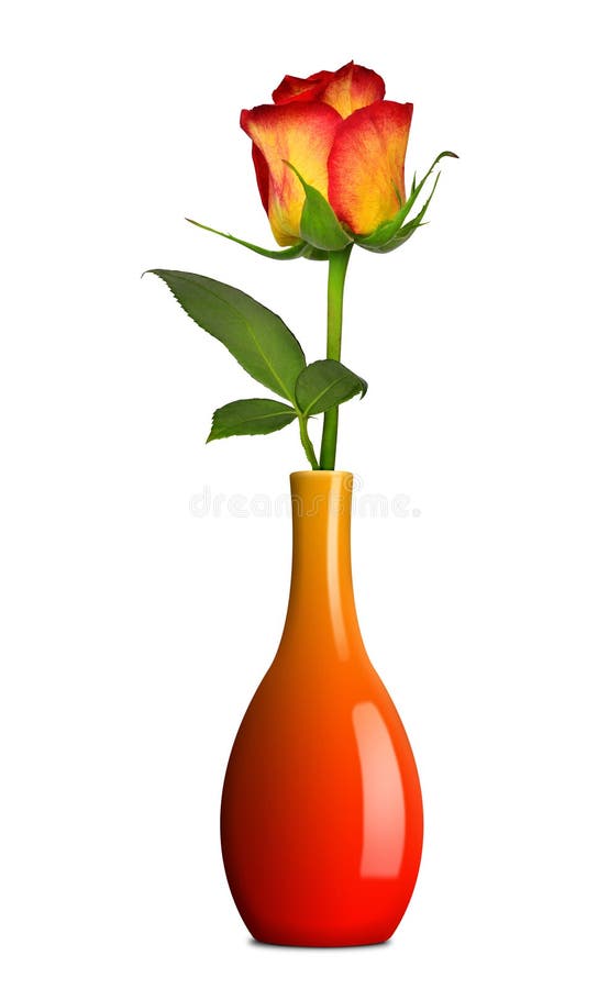 Rose in vase tattoo stock vector. Illustration of deco 23314443