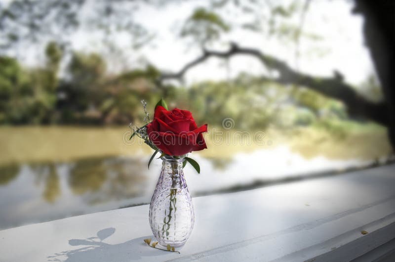 Rose vase near the river