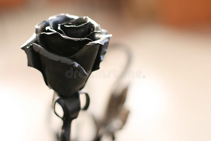 Rose vom Metall lizenzfreie stockfotografie Rose vom Metall lizenzfreie stockfotografie