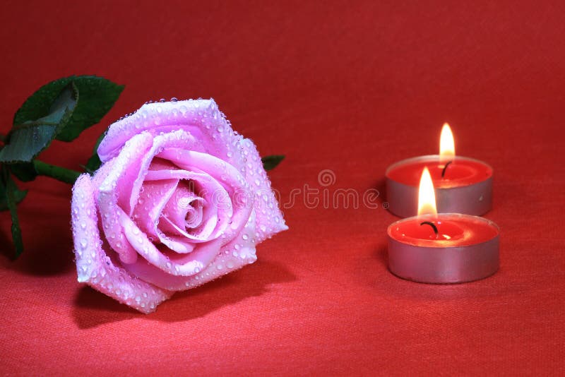 Rose with Water Drop