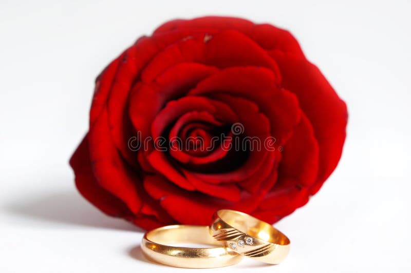 Rose and wedding rings