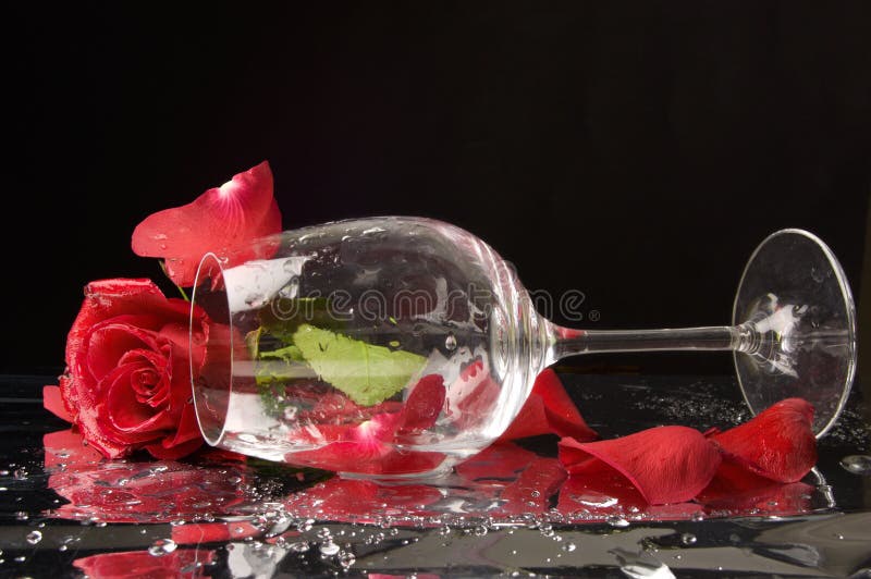 Rose and wine glass stock image. Image of background, color 8361303