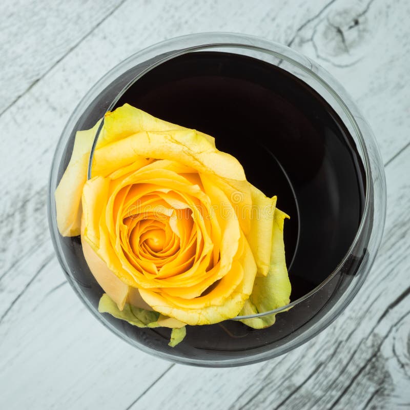 Rose and wine stock image. Image of abandoned, wine, black 74298253