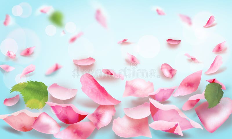 Rose y página en blanco romántica que cae de los pétalos imagen de archivo libre de regalías Rose y página en blanco romántica que cae de los pétalos imagen de archivo libre de regalías