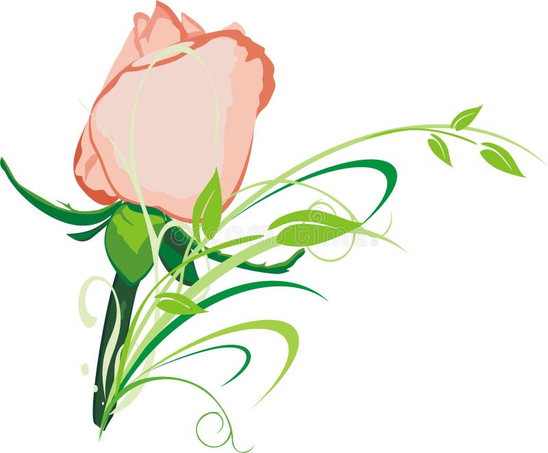 Rose y ramificación ilustración del vector Rose y ramificación ilustración del vector