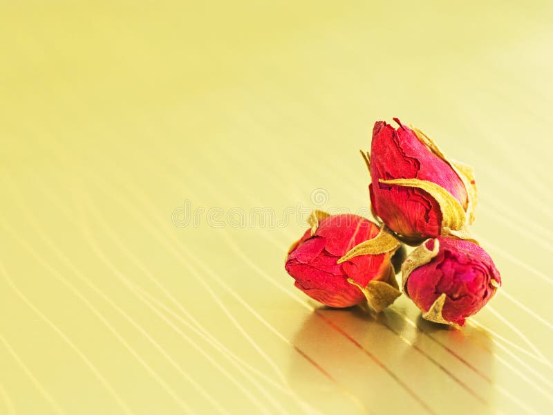 Botões de rosa num fundo dourado fotos de stock