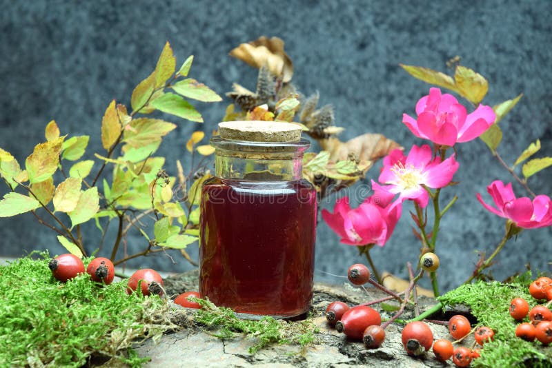 Rosehip Aroma Oil Spa Massage Stock Image Image of flat, essence