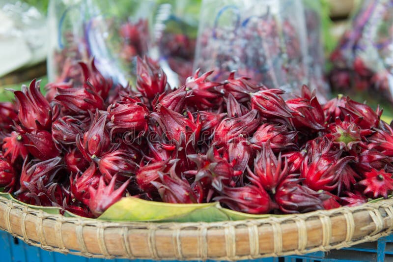 Rosella rossa nel mercato fotografia stock libera da diritti Rosella rossa nel mercato fotografia stock libera da diritti