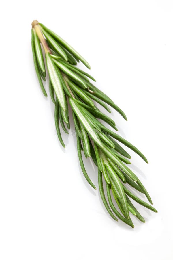 Stock Photos and RoyaltyFree Images by Dreamstime