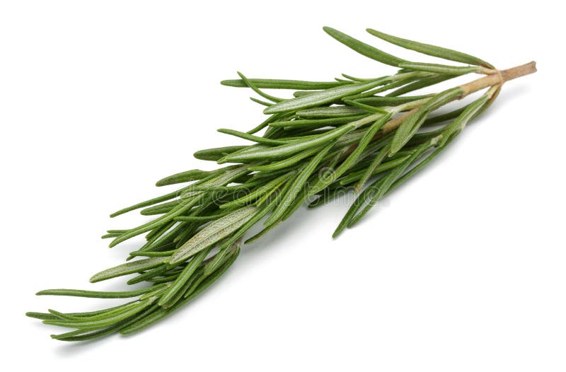 Rosemary