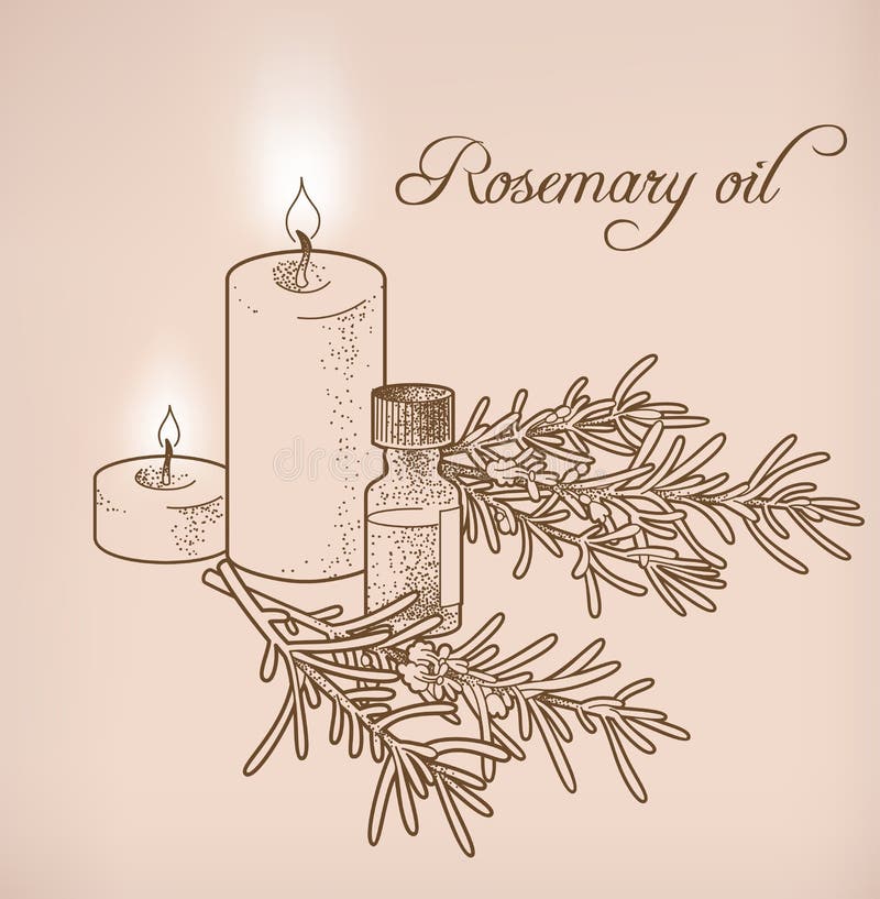 Rosemary Essential Oil and Candles Stock Vector Illustration of