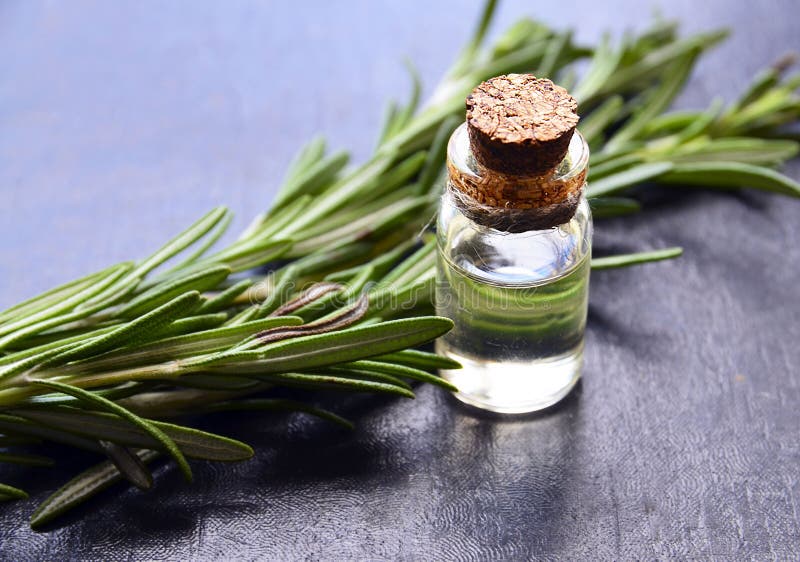 Rosemary etherische olie in een glasfles met vers groen rozemarijnkruid op donkere achtergrond Rosemary olie voor kuuroord, aroma stock foto's Rosemary etherische olie in een glasfles met vers groen rozemarijnkruid op donkere achtergrond Rosemary olie voor kuuroord, aroma stock foto's