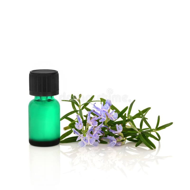 Rosemary herb leaf sprig in flower with a green aromatherapy essential oil bottle, over white background. Green herbal drug medicine stock images, royalty-free photos and pictures