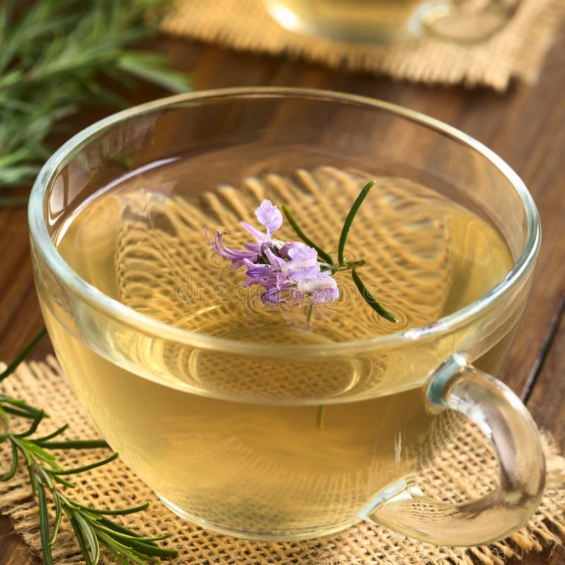 Rosemary Herbal Tea photo stock. Image du cuit, thérapeutique 70920076