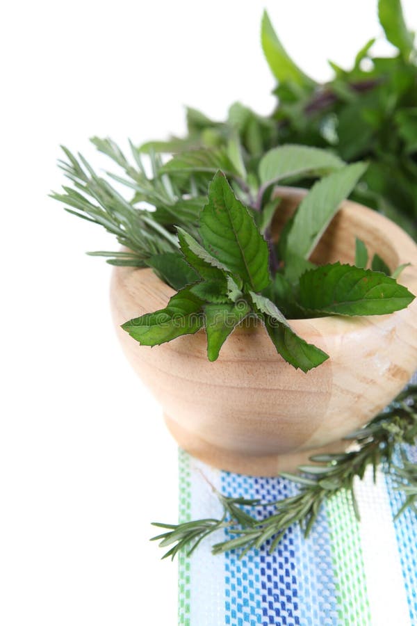 Rosemary Twig And Mint Isolated Stock Photo Image of plant
