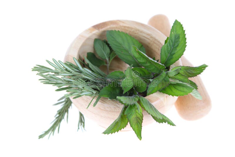 Rosemary and mint in a wooden pounder