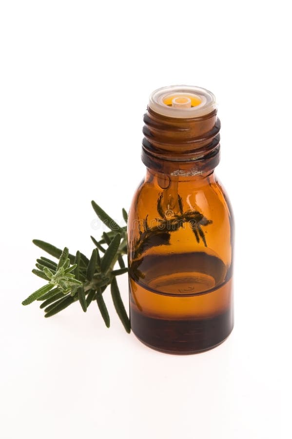 Rosemary oil stock image. Image of fragrance, rosemary 30466649