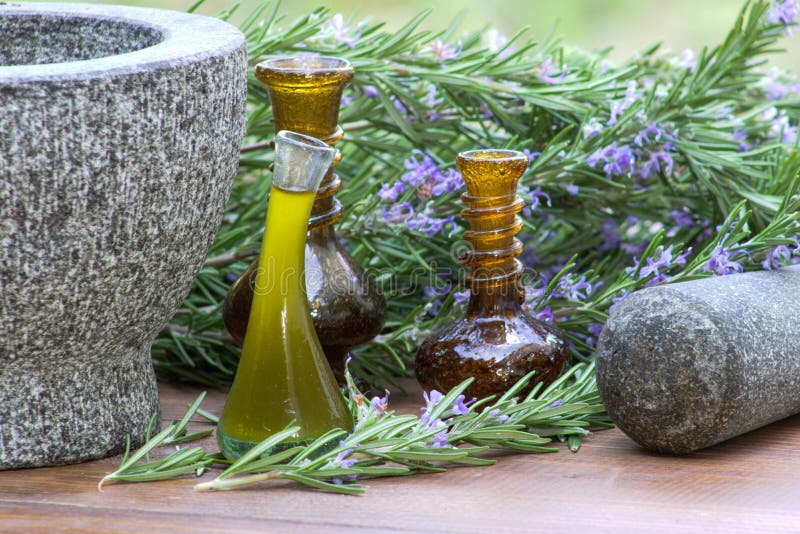 Rosemary Plants and Oil