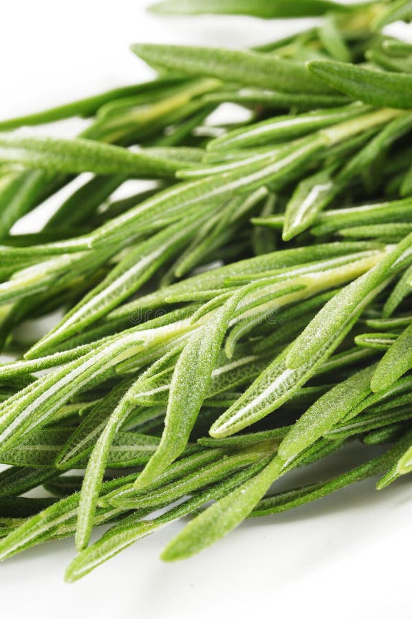 Rosemary spice stock image. Image of spice, herb, food 45680205