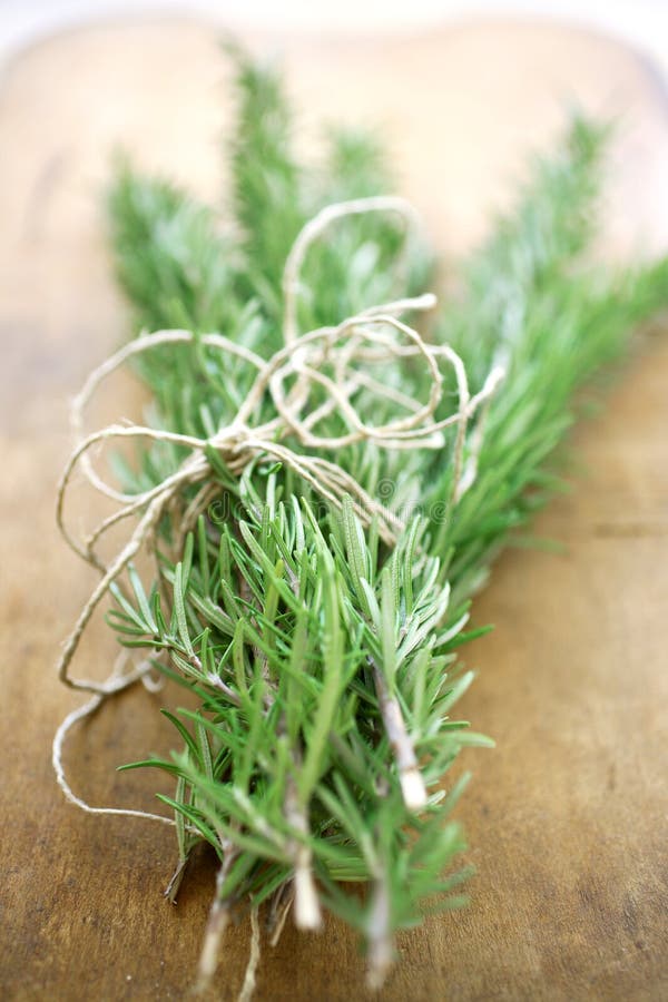 Rosemary sprigs stock image. Image of foliage, leaves - 25138027