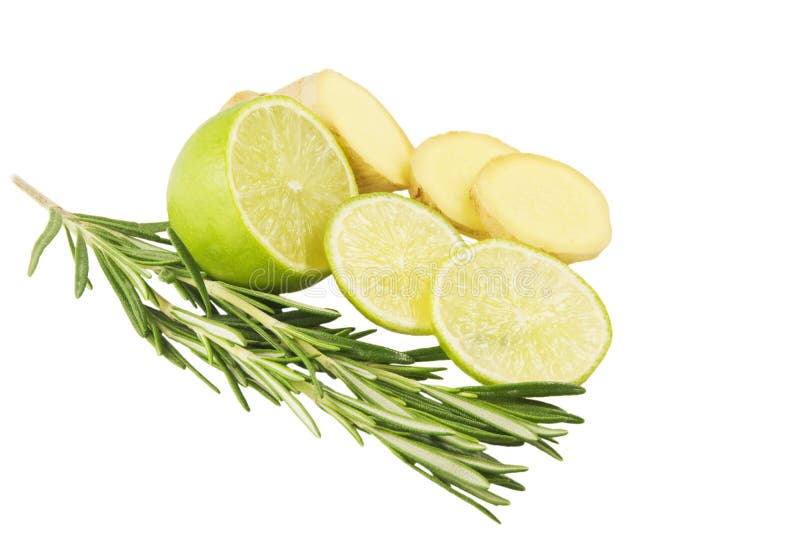 Branch of rosemary and lime and ginger. Branch of rosemary and lime and ginger