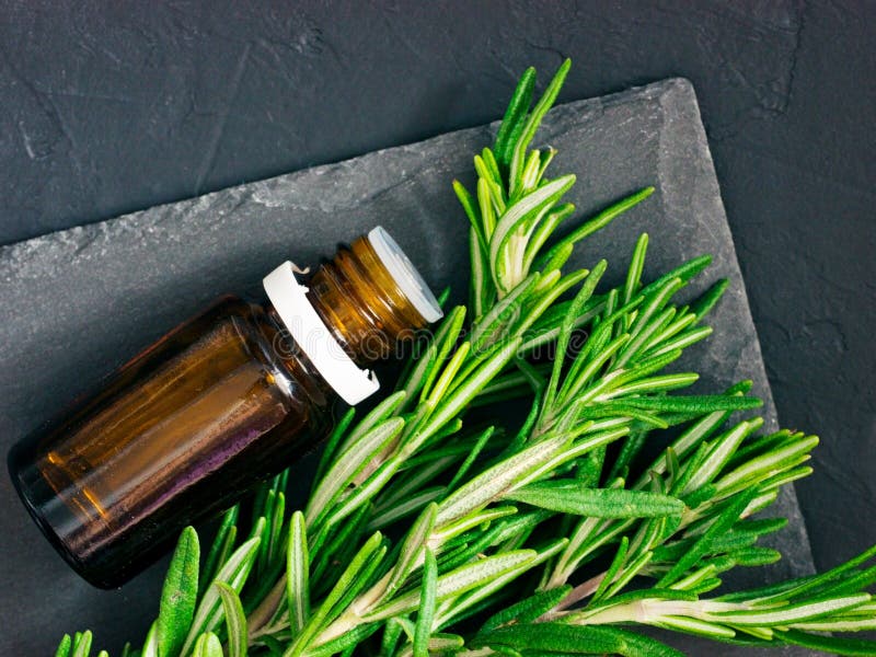 Rosemary essential oil in dark glass bottle and fresh rosemary on dark background. Top view or flat lay. Rosemary essential oil in dark glass bottle and fresh rosemary on dark background. Top view or flat lay