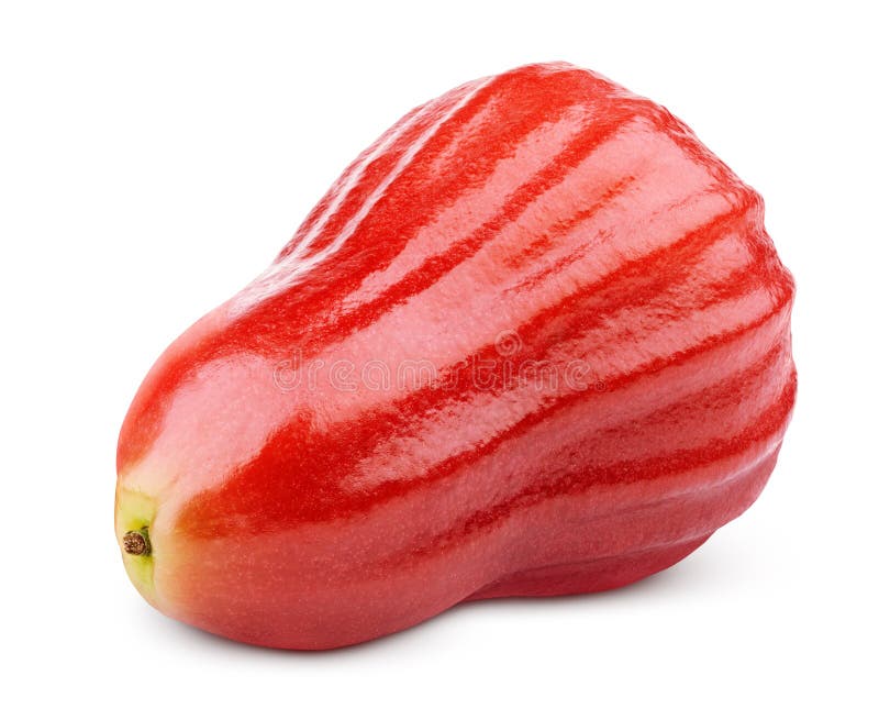 Rosen-Apfel oder chomphu lokalisiert auf Weiß stockfoto