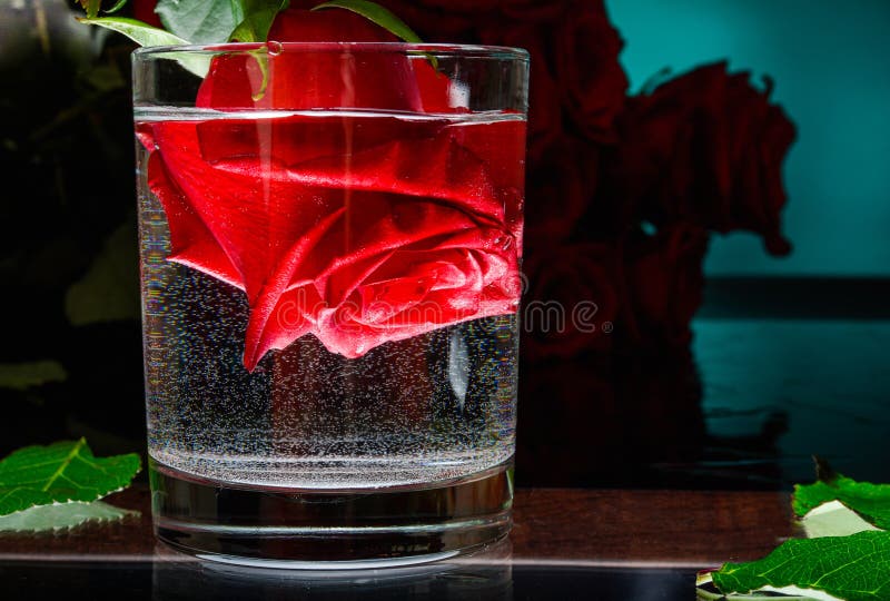 Rosen-Blume in einem Glas Wasser Romantischer Abend lizenzfreies stockbild Rosen-Blume in einem Glas Wasser Romantischer Abend lizenzfreies stockbild