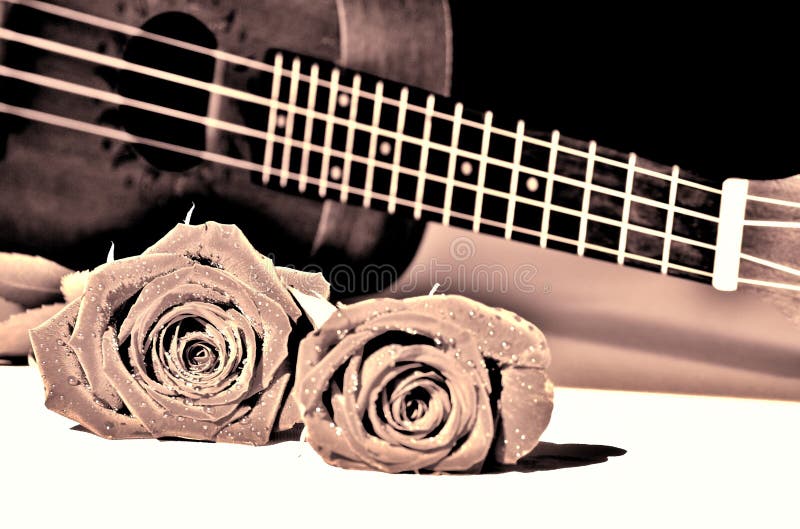 Rosen und Ukulele Rebton lizenzfreies stockbild Rosen und Ukulele Rebton lizenzfreies stockbild