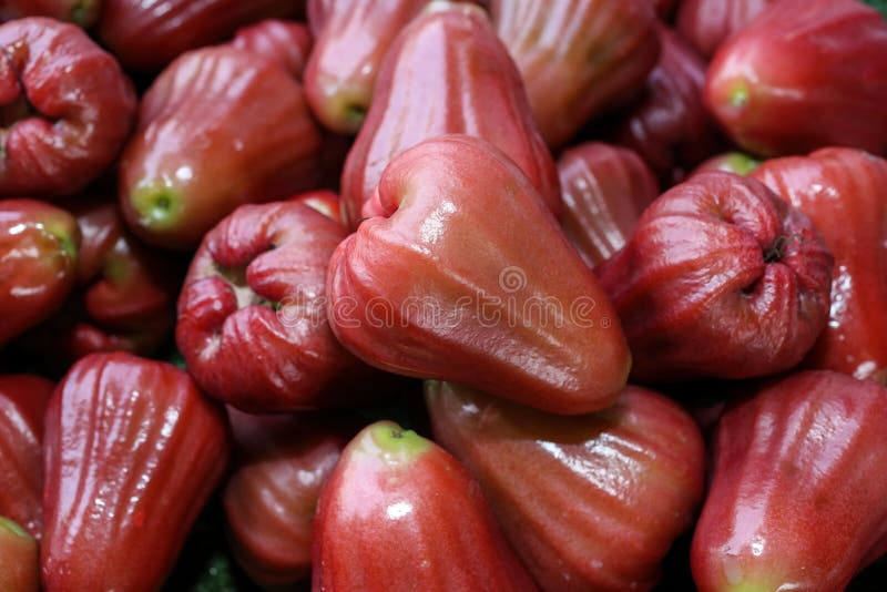 Rosenapfelfrüchte im Korb. Rosenapfelhintergrund lizenzfreies stockfoto