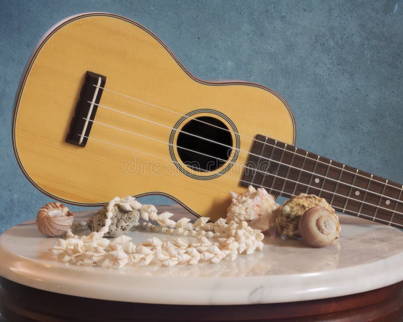 Rosenträukulele med havet Shell Decor arkivbild Rosenträukulele med havet Shell Decor arkivbild