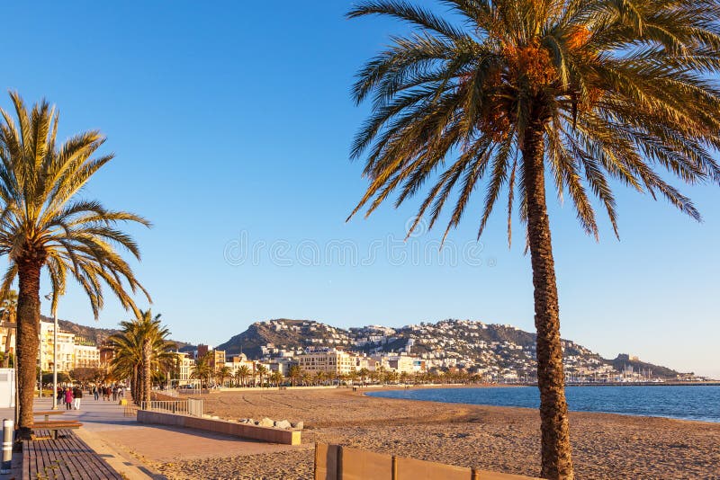 Roses Méditerranéennes De Ville, Espagne Image éditorial Image du