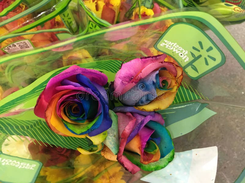 Roses editorial photo. Image of roses, anniversary, wife 64203156