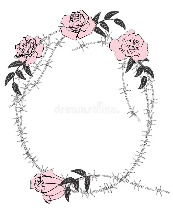 Roses and barbed wire stock illustration. Illustration of floral 16423454