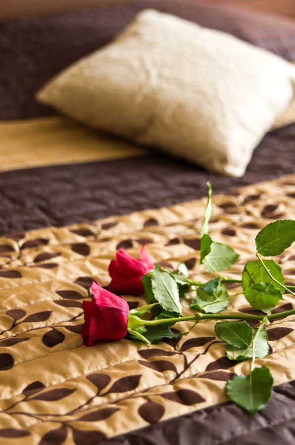 Roses on bed stock photo. Image of roses, floral 31680038