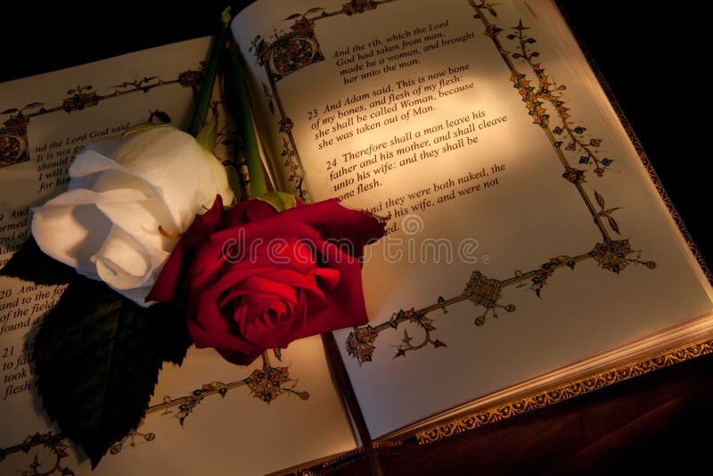 Bible With Roses And Rosary Stock Image Image of faith, bible 9849293