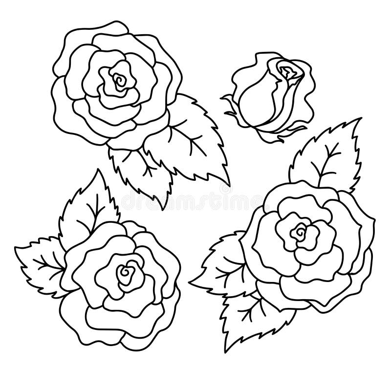 Roses Line Drawings Stock Illustrations 78 Roses Line Drawings Stock