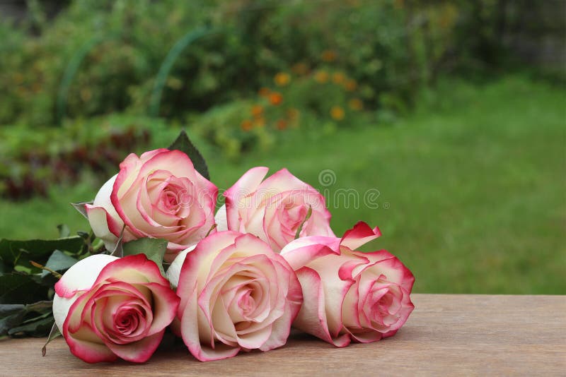 564 Carte De Joyeux Anniversaire Avec Des Fleurs Photos Libres De Droits Et Gratuites De Dreamstime 564 Carte De Joyeux Anniversaire Avec Des Fleurs Photos Libres De Droits Et Gratuites De Dreamstime