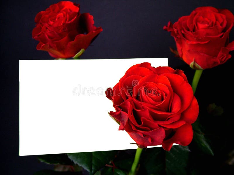 Roses with card 1