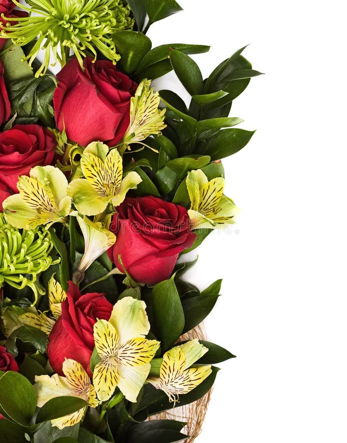 Roses and chrysanthemum stock photo. Image of blank, flower 52783080