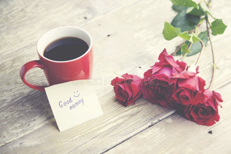 Roses and coffee stock photo. Image of studio, beauty 131055132