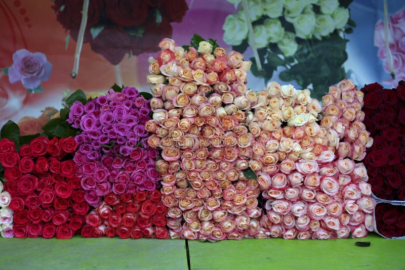 Roses stock image. Image of flower, sell, roses, armenia 41239403