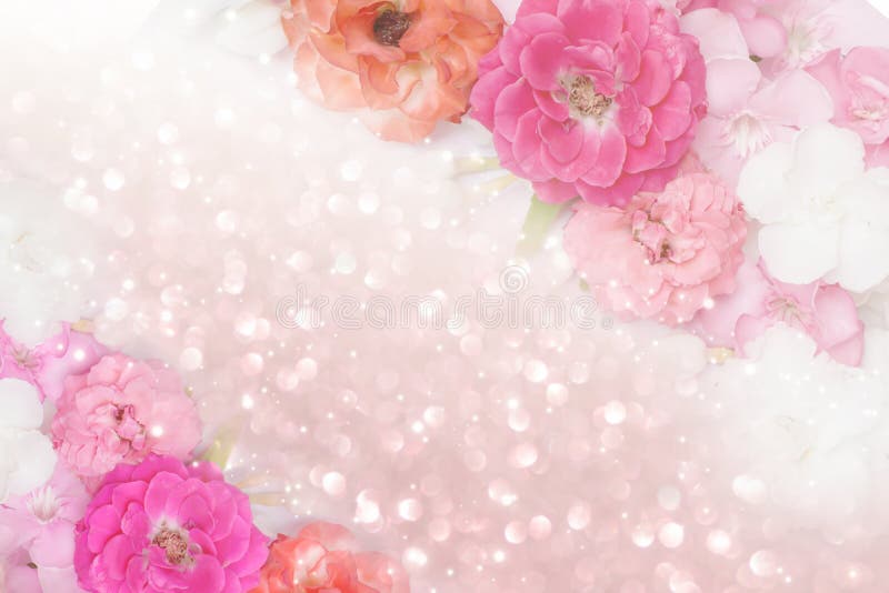 Roses flower border glitter background pastel tone