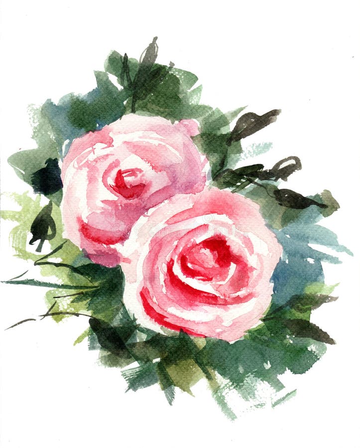 Roses Flowers, Watercolor Painting Stock Illustration - Illustration of ...