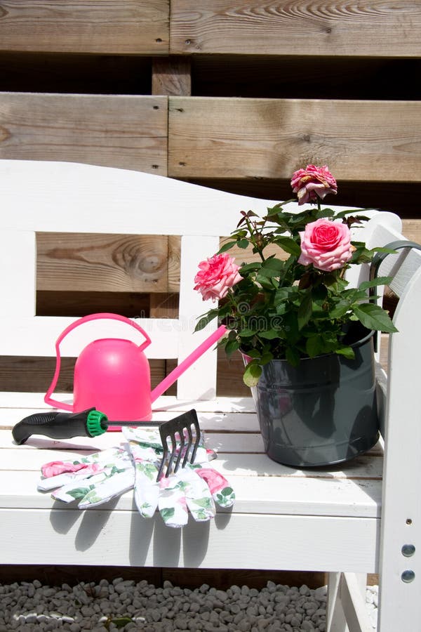 Roses and garden tools