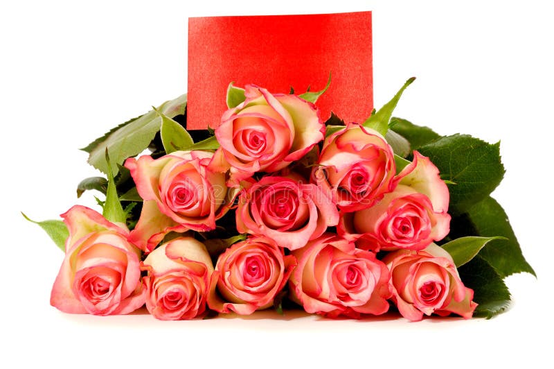 Roses with gift card stock image. Image of blank, love 14025897