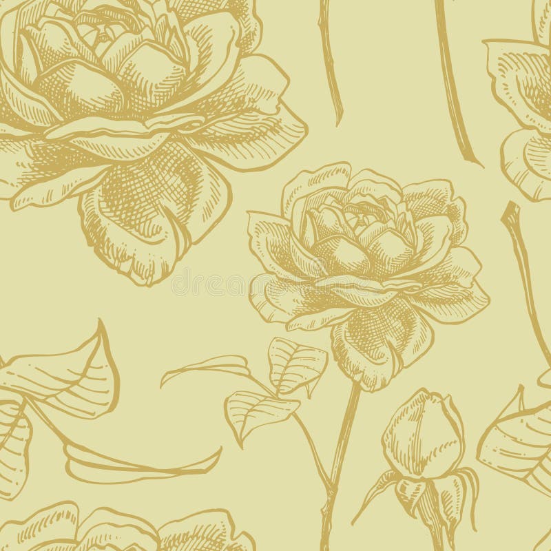 Roses. Hand drawn flower set illustrations. Botanical plant illustration. Vintage medicinal herbs sketch set of ink hand drawn medical herbs and plants sketch. Seamless patterns