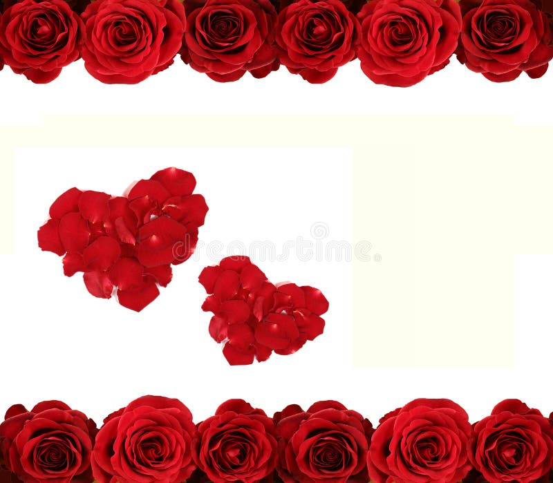 Roses and hearts royalty free stock photo